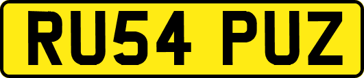 RU54PUZ