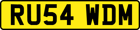 RU54WDM