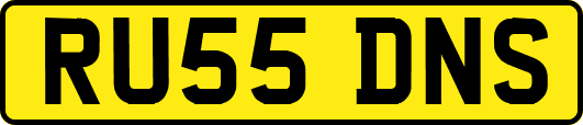 RU55DNS