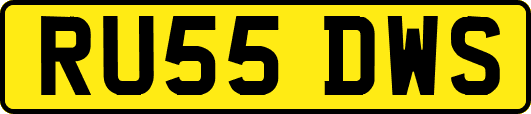 RU55DWS