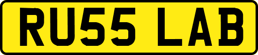 RU55LAB