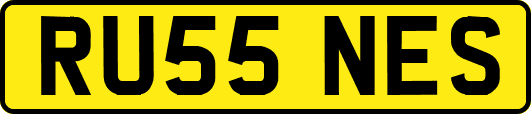 RU55NES