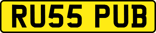 RU55PUB