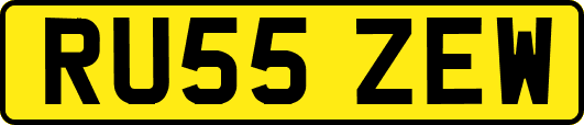 RU55ZEW