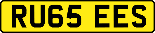 RU65EES
