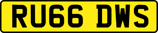 RU66DWS