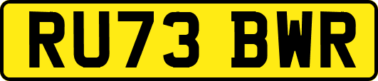 RU73BWR