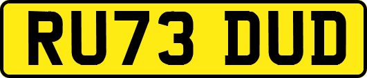 RU73DUD