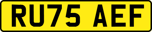 RU75AEF