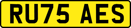 RU75AES