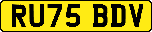 RU75BDV