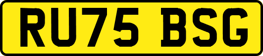 RU75BSG