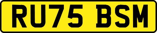 RU75BSM