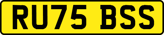 RU75BSS