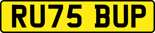RU75BUP