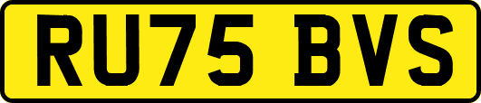 RU75BVS