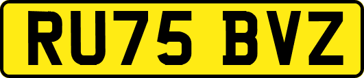 RU75BVZ