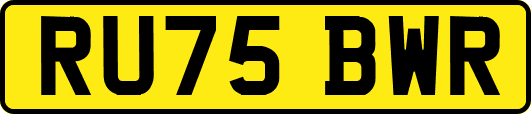 RU75BWR