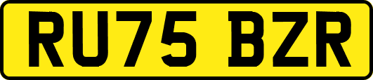 RU75BZR