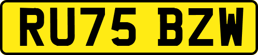 RU75BZW