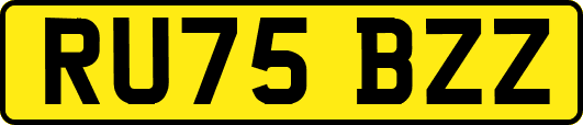 RU75BZZ