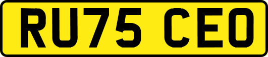RU75CEO
