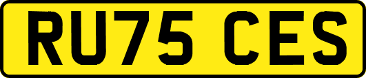 RU75CES