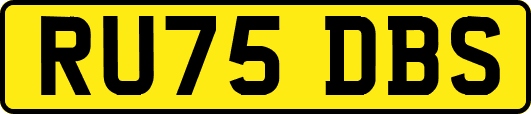 RU75DBS