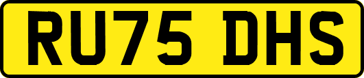 RU75DHS