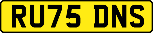 RU75DNS