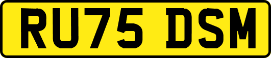 RU75DSM