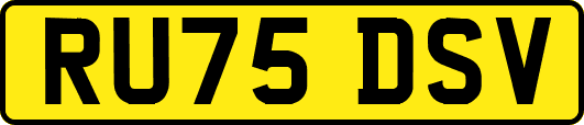RU75DSV
