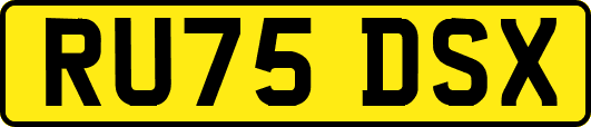 RU75DSX