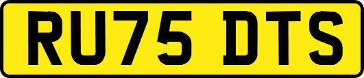 RU75DTS