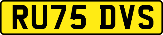 RU75DVS