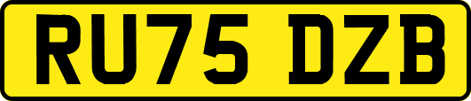 RU75DZB