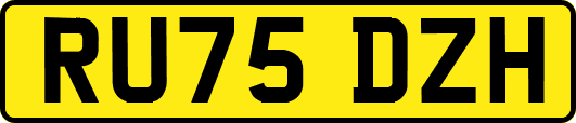 RU75DZH