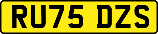 RU75DZS