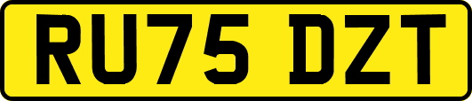 RU75DZT