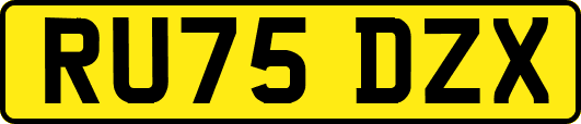 RU75DZX