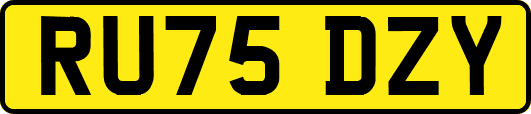 RU75DZY