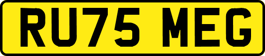 RU75MEG