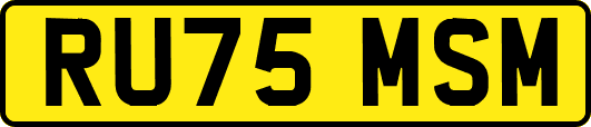 RU75MSM