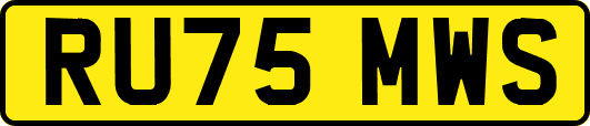 RU75MWS