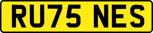 RU75NES