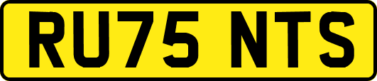 RU75NTS