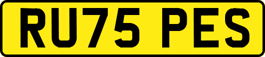 RU75PES