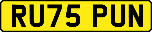 RU75PUN
