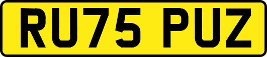 RU75PUZ