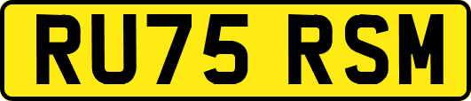 RU75RSM